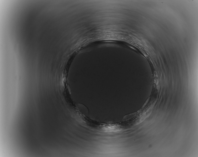 X0000093400235200710190931