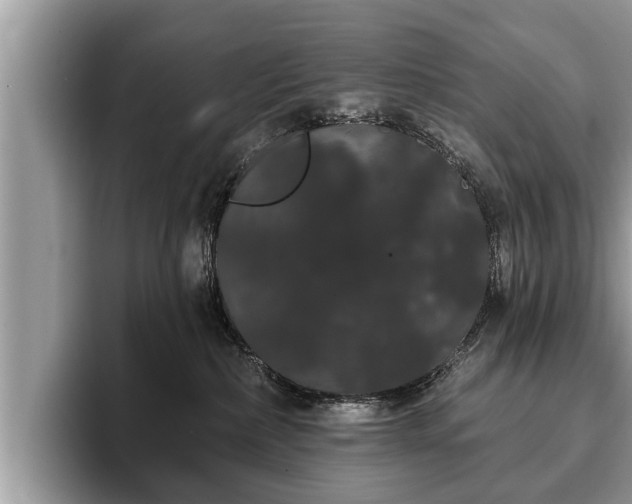 X0000093400236200710190931
