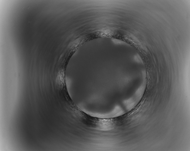 X0000093400240200710190931