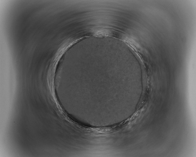 X0000093400241200710190930