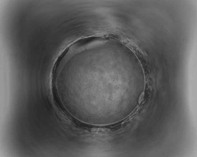 X0000093400242200710190930