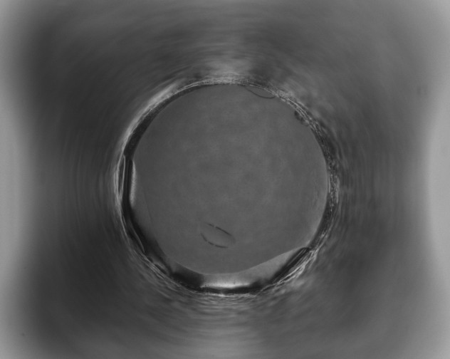 X0000093400244200710190930