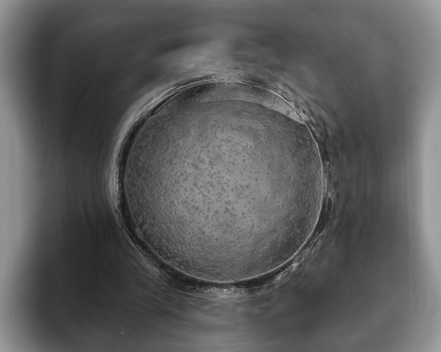 X0000093400245200710190930