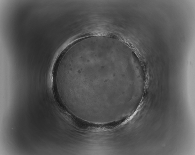 X0000093400246200710190930