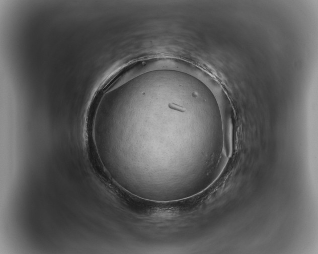 X0000093400248200710190930