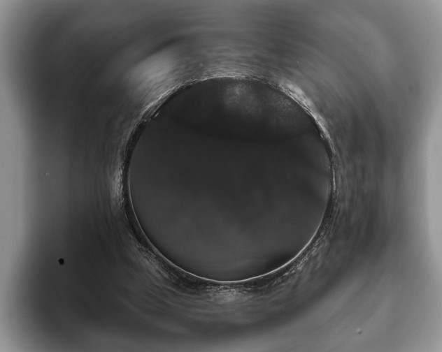 X0000093400249200710190930
