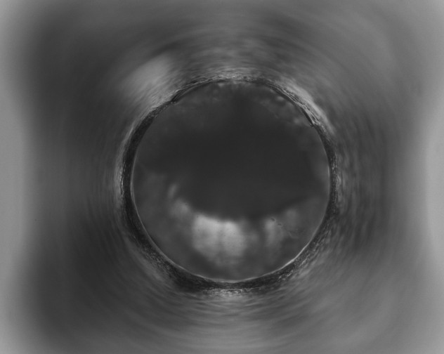 X0000093400250200710190930