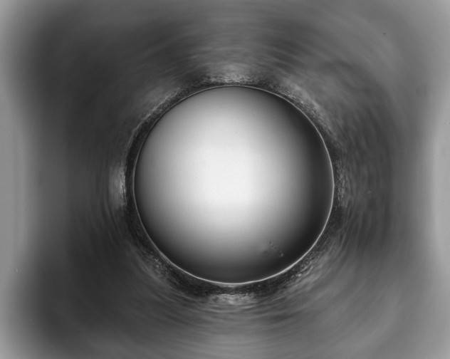 X0000093400251200710190930