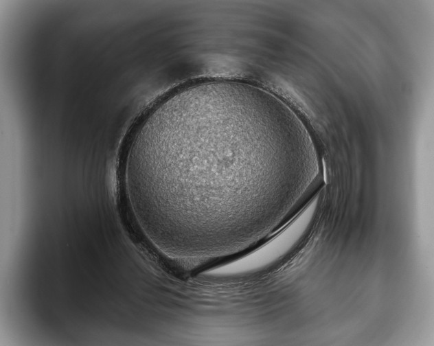X0000093400252200710190930