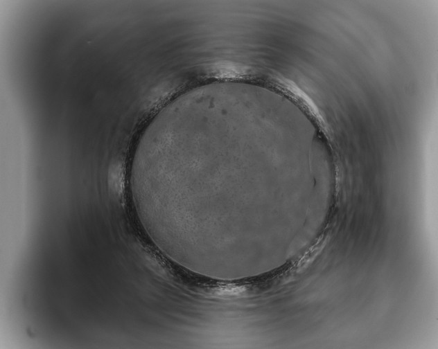X0000093400257200710190930