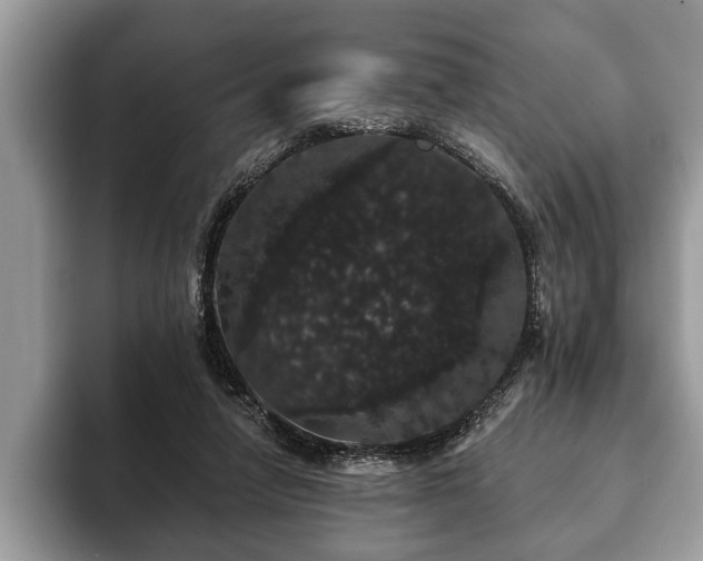 X0000093400258200710190930