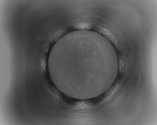 X0000093400259200710190930