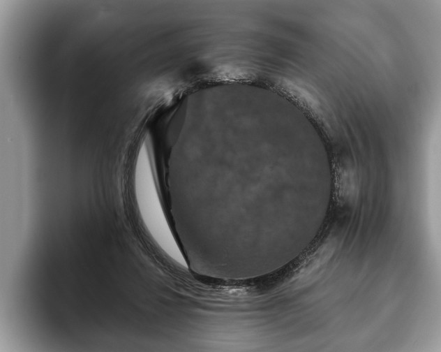 X0000093400260200710190930