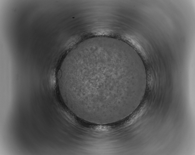 X0000093400261200710190930