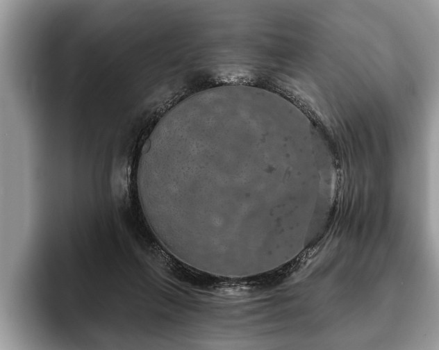 X0000093400263200710190930