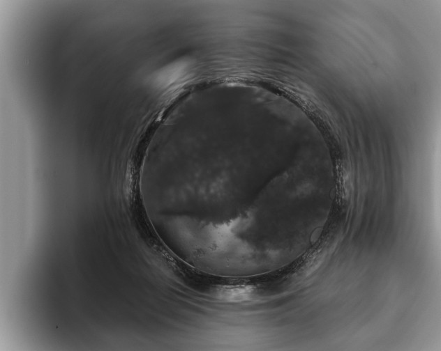 X0000093400266200710190930