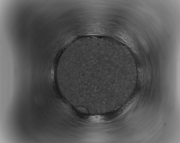 X0000093400269200710190930