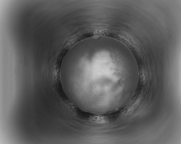 X0000093400276200710190931