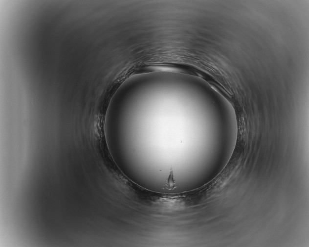X0000093400280200710190931