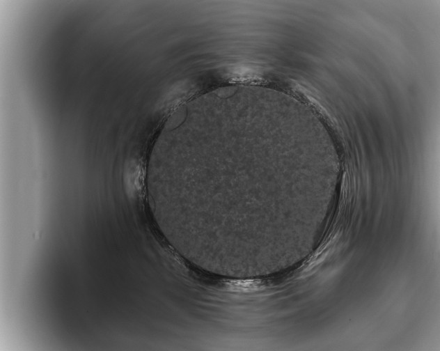 X0000093400281200710190931