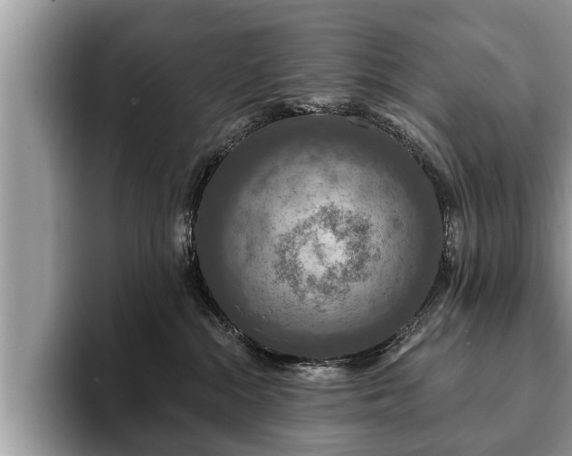 X0000093400284200710190931
