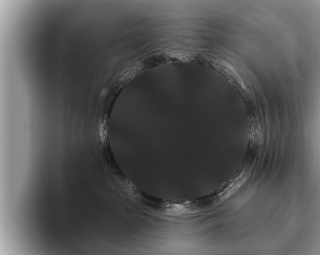 X0000093400285200710190931