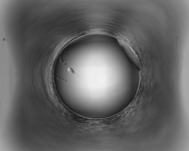 X0000093400289200710190930