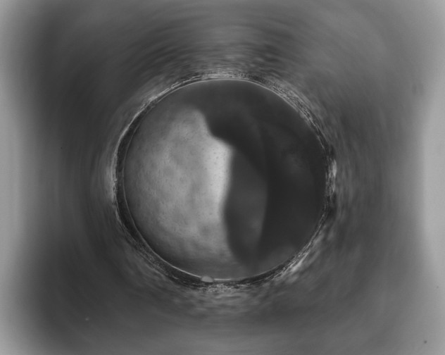 X0000093400290200710190930