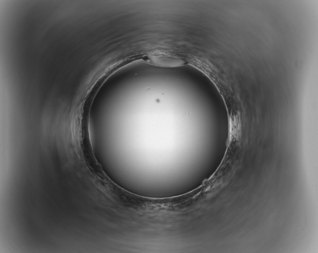 X0000093400291200710190930
