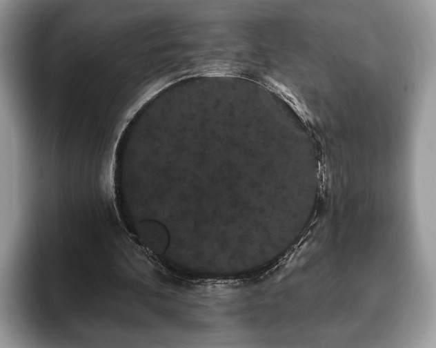 X0000093400292200710190930