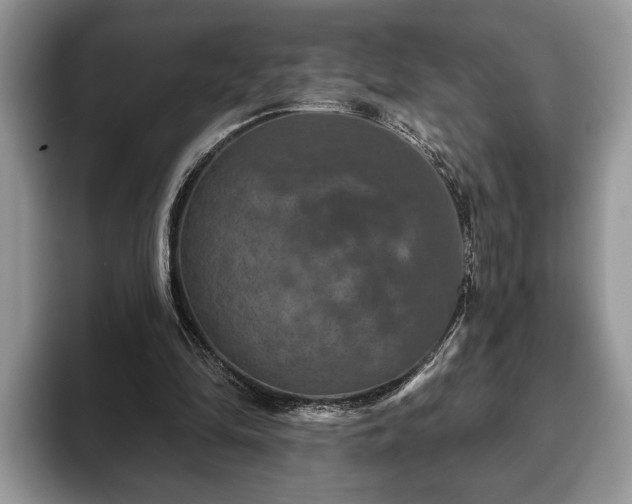 X0000093400294200710190930