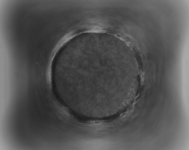 X0000093400296200710190930