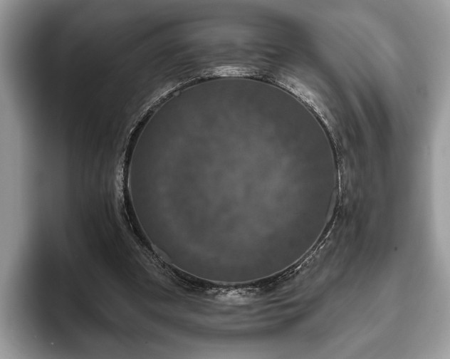 X0000093400297200710190930