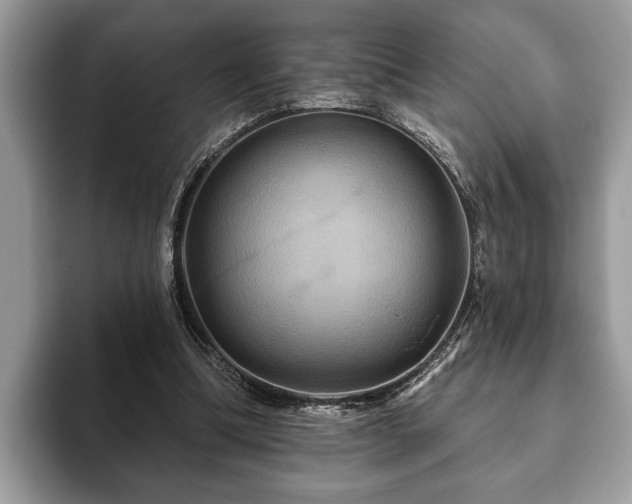 X0000093400298200710190930