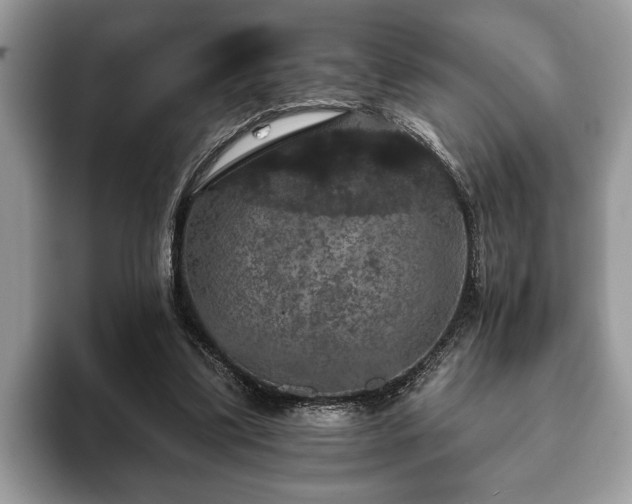 X0000093400299200710190930