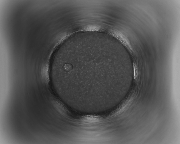 X0000093400300200710190930