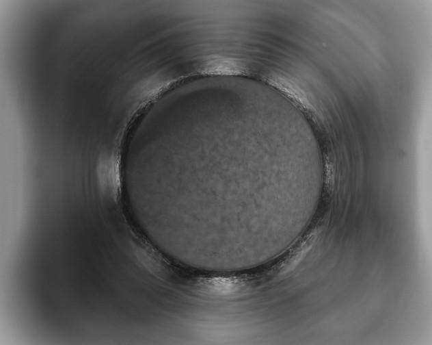 X0000093400302200710190930