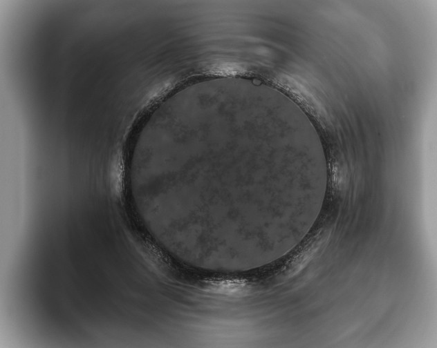 X0000093400304200710190930
