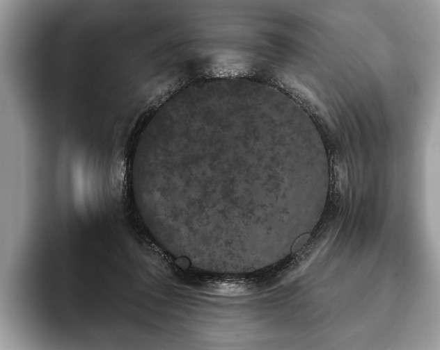 X0000093400308200710190930