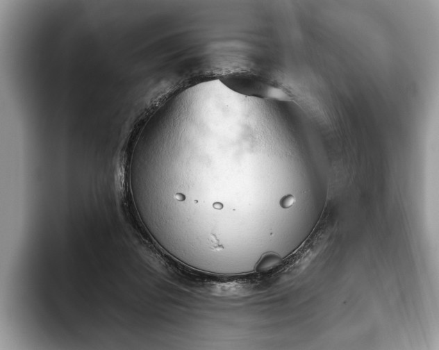 X0000093400309200710190930