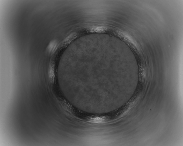 X0000093400312200710190930