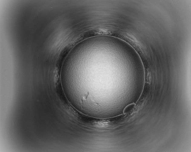 X0000093400318200710190930