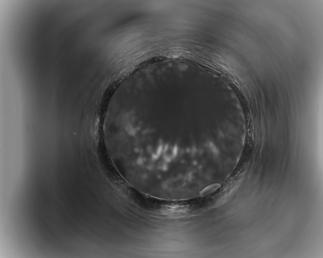 X0000093400319200710190930