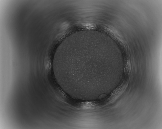 X0000093400320200710190930
