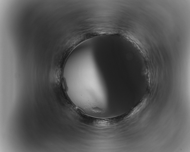 X0000093400325200710190930