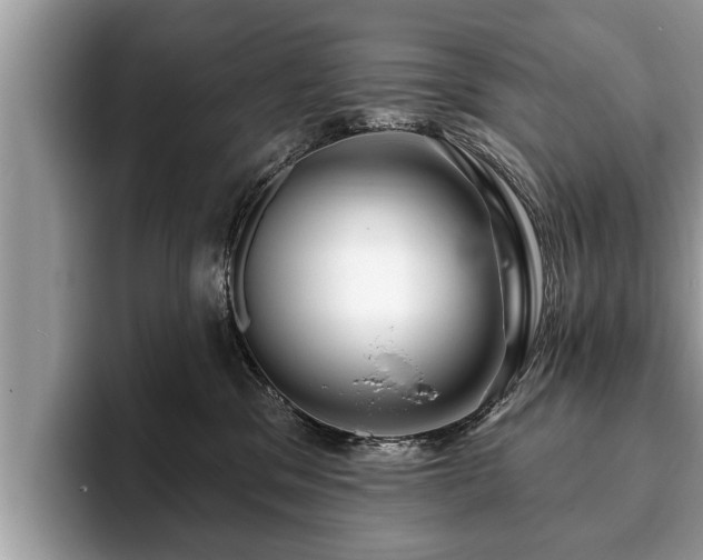 X0000093400329200710190930