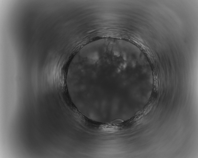 X0000093400331200710190929