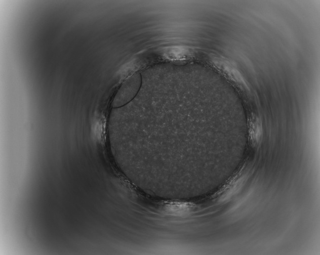 X0000093400332200710190929