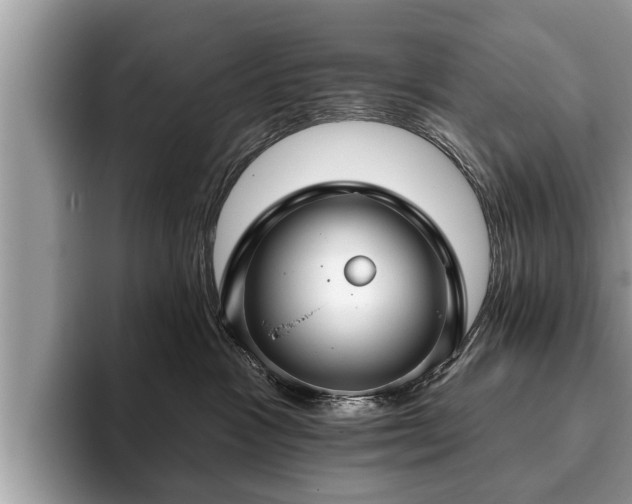 X0000093400333200710190929