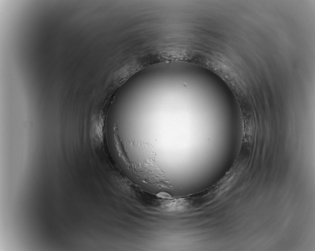 X0000093400334200710190929